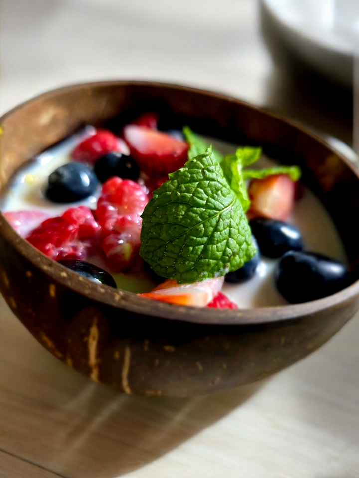 Set of 3 Recycled Coconut Shell Bowls