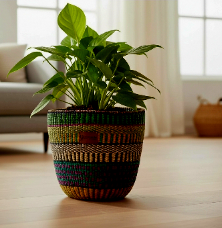 Bolga Planter Basket — Handmade by the Women of Ayebase